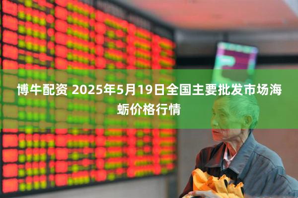 博牛配资 2025年5月19日全国主要批发市场海蛎价格行情