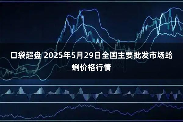 口袋超盘 2025年5月29日全国主要批发市场蛤蜊价格行情