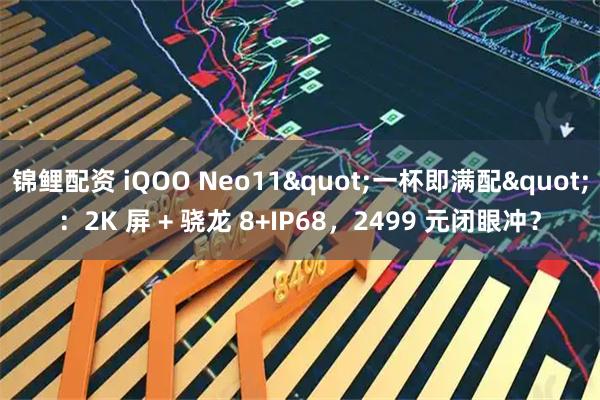 锦鲤配资 iQOO Neo11"一杯即满配":2K 屏 + 骁龙 8+IP68,2499 元闭眼冲?