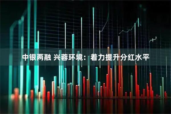 中银两融 兴蓉环境:着力提升分红水平